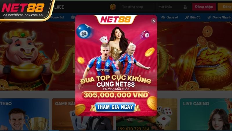 Nền tảng này phù hợp với cả những người mới bắt đầu tham gia