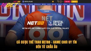 Cá Cược Thể Thao Net88 - Game Chơi Uy Tín Đến Từ Châu Âu